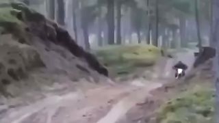 Fastest delivery in the world