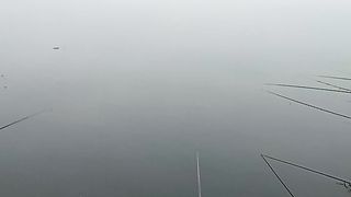 the lake is a paradise for fish