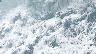 Heavy Snowfall Tour