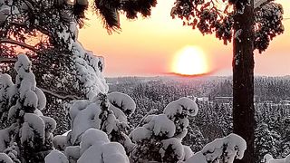Winter morning