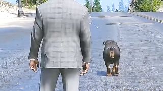 The man and a Dog