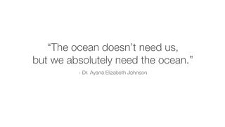 The Ocean’s Price Tag: A Financial Analysis by Astrid J. Hsu