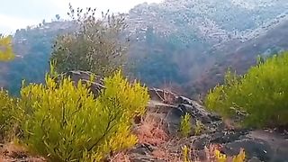 This is the Beauty of Pakistan Kpk Dir lower Gudar Jandool