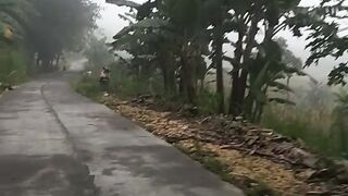 Panoramic alam