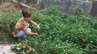 Tough Wife