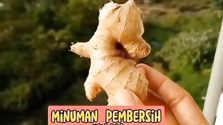 resep jamu