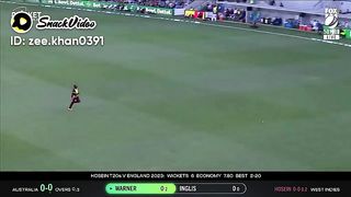 David warner great batting against west indies