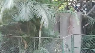 Beautiful view pune
