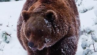 • when the snow arrives before bed time