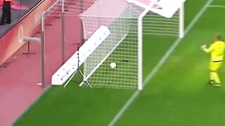 Goalkeeper's Mistake or Unluck