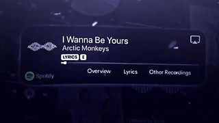 I wanna be your
