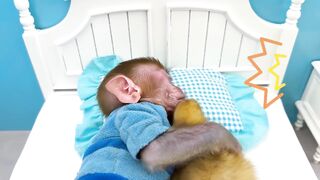 Monkey Baby Bon Bon Drawing Duckling And Swimming With Ducklings In The Pool