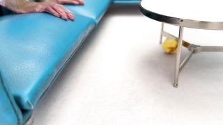 Monkey Baby Bon Bon meets The Ants Go Marching and Eats so yummy Ice Cream with Puppy