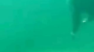 strange things found in sea