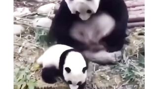 True love