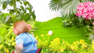 Monkey Baby Bon Bon plays with Chicks in the swimming pool and go to the toilet with puppy