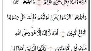 Surah At-Taghaabun part 4