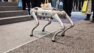 Quadruped Robot by Unitree Robotics