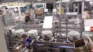 Всё, Берлину капут! Германию списал даже Шольц.