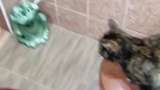 только сказала, что пойду в ванную комнату они уже сидят