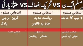 PTI pmln Pppp || before results please watch video