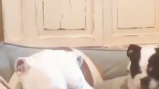 Dad was trying to control himself