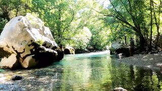 Trout Fishing in River - Solo Overnight Camp in the Mountains
