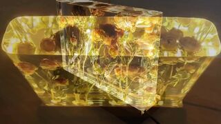 5 MOST Amazing Epoxy Resin LAMPS | Flower in Resin | RESIN ART