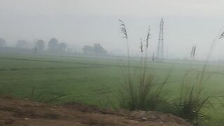 my village