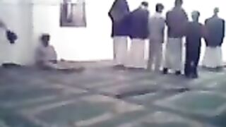 Funny videos
