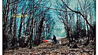 Ertugrul Ghazi video