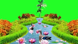 Beautiful garden|| best mature scene|
