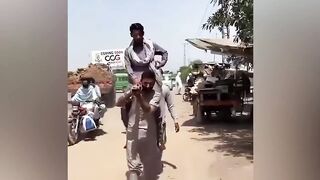 funny videos