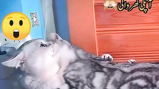 Funny ????????