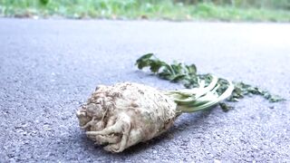 Crushing Crunchy & Soft Things by Car! EXPERIMENT CAR vs Stretch blue Monkey