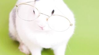 So Cute