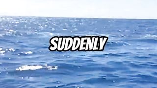 Shark attacks people on The Boat