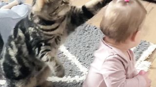 funny cats and kids