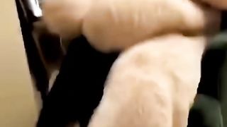 The end ???????????? #viral #shorts #fails #funny #fail.