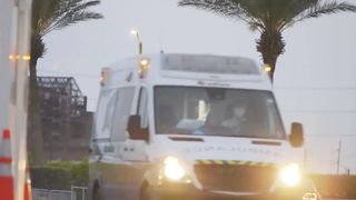 Собака преградила дорогу скорой, вы будете ШОКИРОВАНЫ, узнав причину.