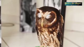 После просмотра видео вы долго будете приходить в себя! ВПЕЧАТЛИТЕЛЬНЫМ просьба