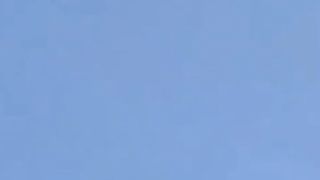 bird of death