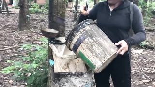 Удивительное производство высококачественных матрасов из латекса_ узнайте