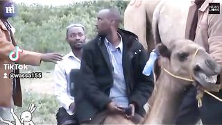 funny video