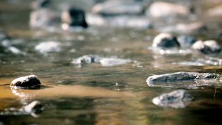 Water and Stone
