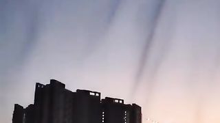 These are actual 'tornadoes' entirely made of mosquitoes. Captured in the Kharadi suburb of Pune, India.