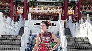 Chinese Cheongsam Beautiful Dress