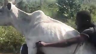 Ghost Rider