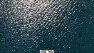 Индонезия. Китовая акула.