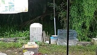 Traditional market feeding rabbit